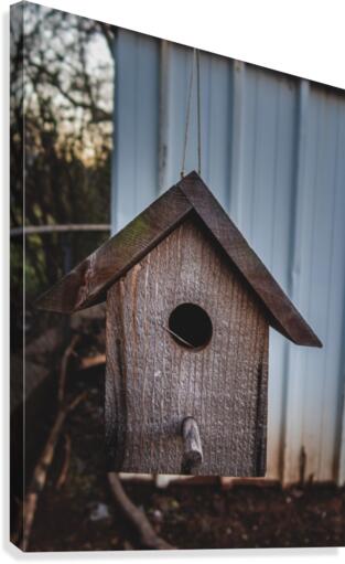 Birdhouse Canvas Print
