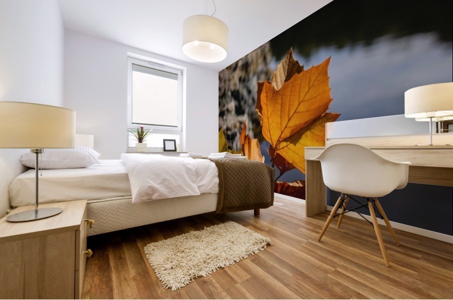 Autumn Leaves Mural print