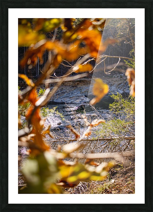 Through the trees Picture Frame print
