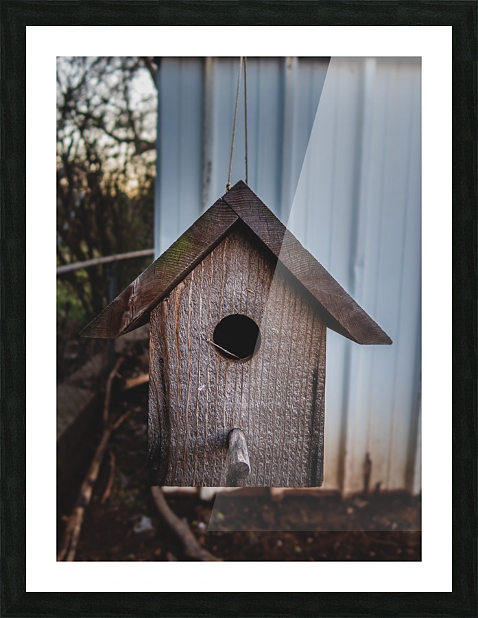 Birdhouse Picture Frame print