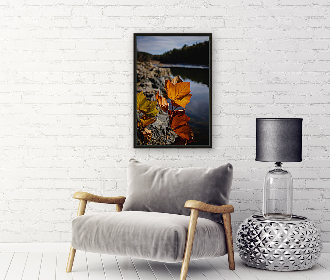 Autumn Leaves Reproduction
