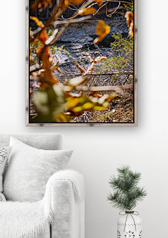 Through the trees by CZB Photography