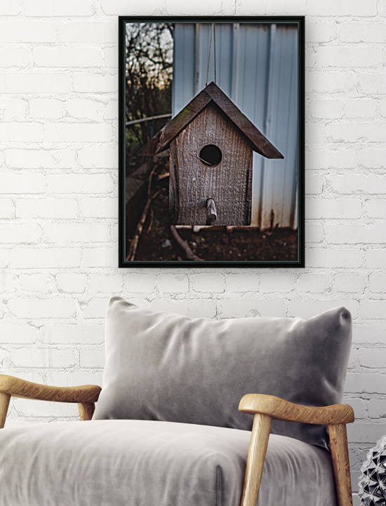 Birdhouse by CZB Photography