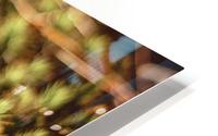 Prickly HD Metal print