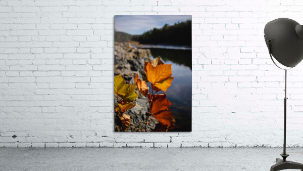 Autumn Leaves Wall Preview