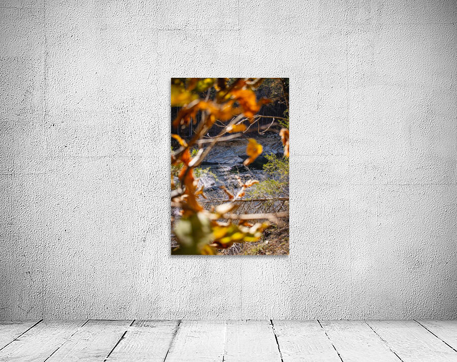 Through the trees Wall Preview