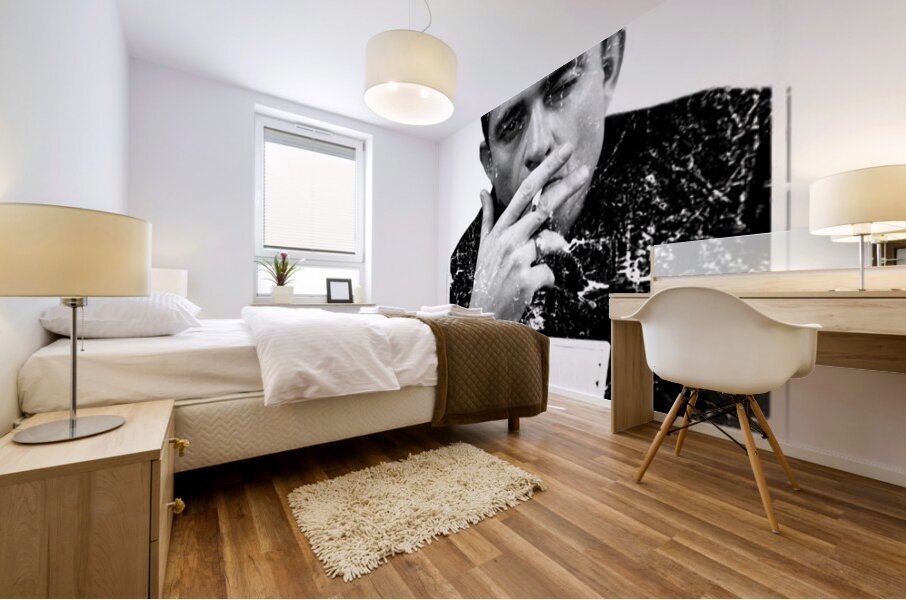 johnny cash 14 Mural print