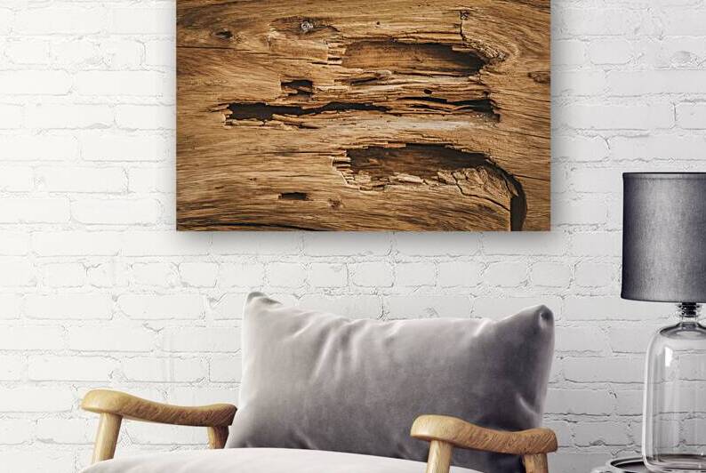 an old weathered timber surface with numerous hol by Raluca Ciobanu