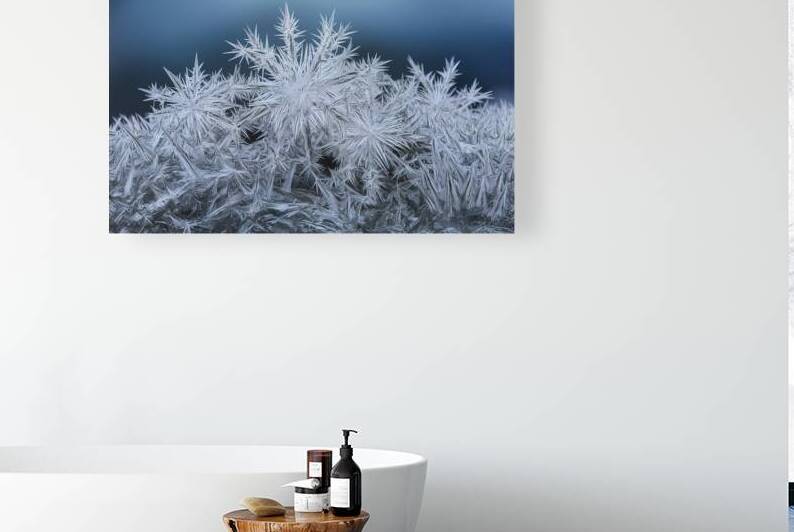 close up photograph of intricate ice formations . by Raluca Ciobanu