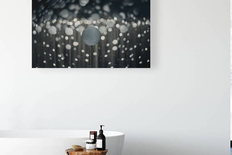 photograph with a mesmerizing bokeh effect by Raluca Ciobanu