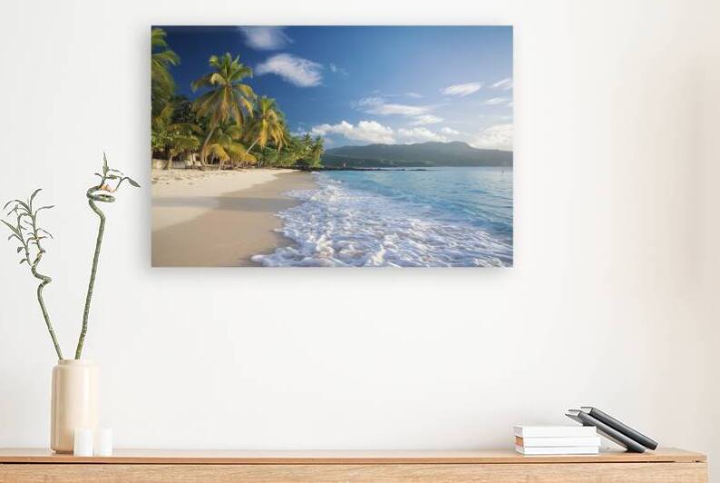 A high quality photo of a colorful empty tropical by Raluca Ciobanu
