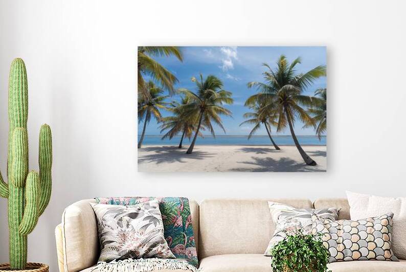 A photo of palm trees with a clear blue sky as th by Raluca Ciobanu