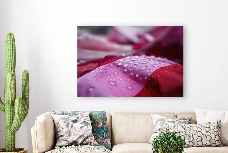 A photo of a close up shot of water droplets on a by Raluca Ciobanu