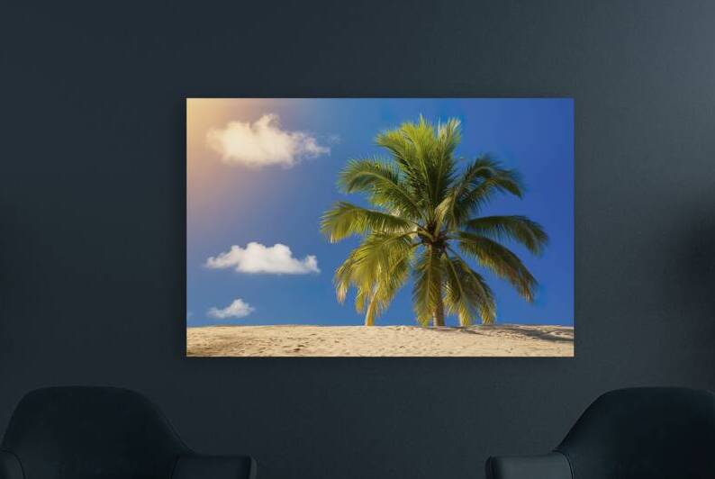 A stunning photograph of a palm tree standing tal by Raluca Ciobanu
