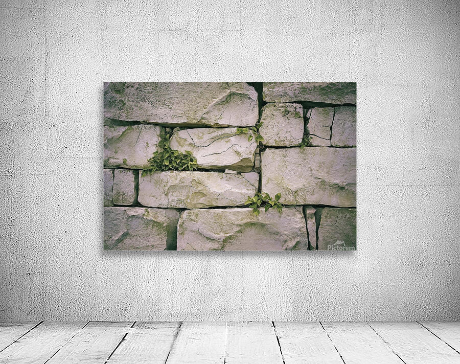 A stone texture background with a rough surface 3 Wall Preview
