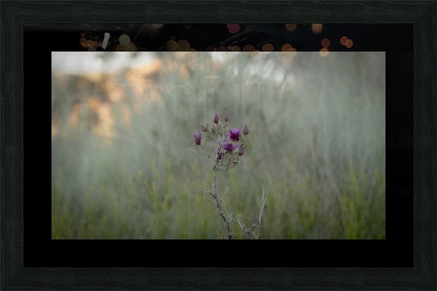 Mojave Indigo Picture Frame print