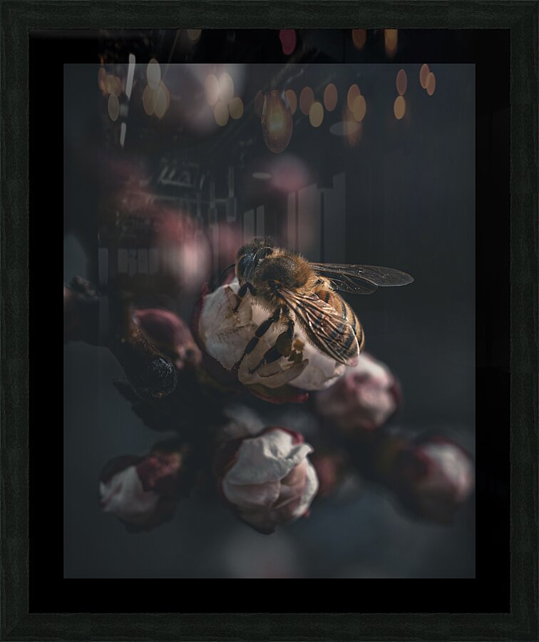 Macro bees 2 Picture Frame print
