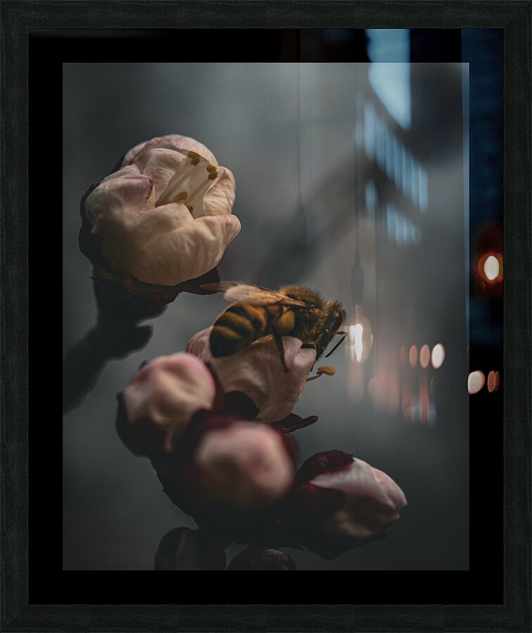Macro bees 3 Picture Frame print