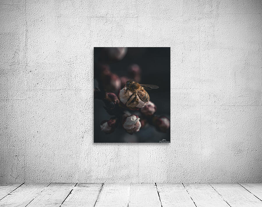 Macro bees 2 Wall Preview