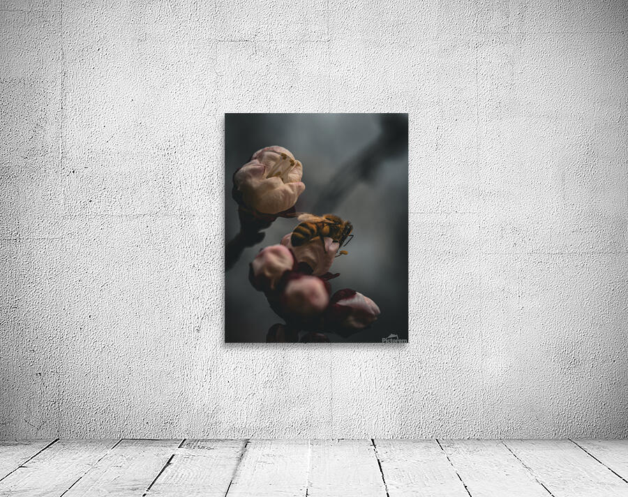 Macro bees 3 Wall Preview