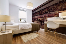 Bullfight Mural print