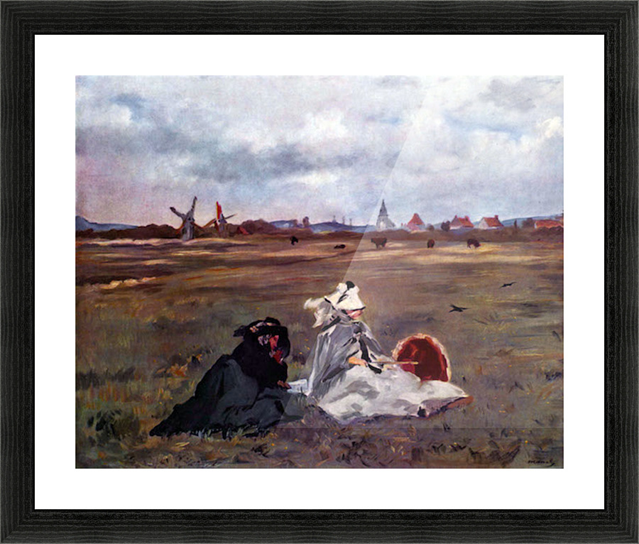 Swallows Picture Frame print
