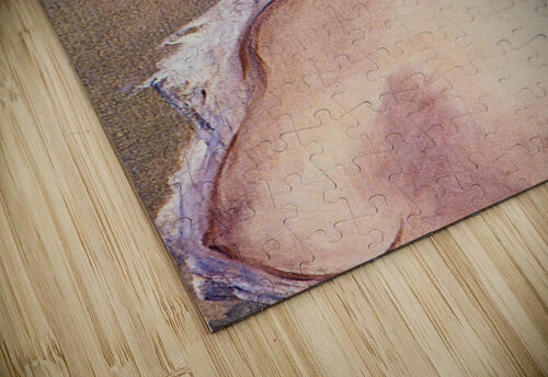 The Blond Nude Manet puzzle