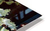 Still Life HD Metal print