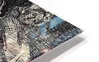 The Toillette HD Metal print