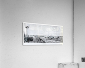 Homage Acrylic Print