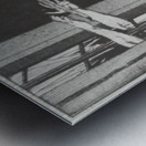 The Abduction Metal print