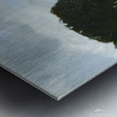 Crushing Souls Metal print