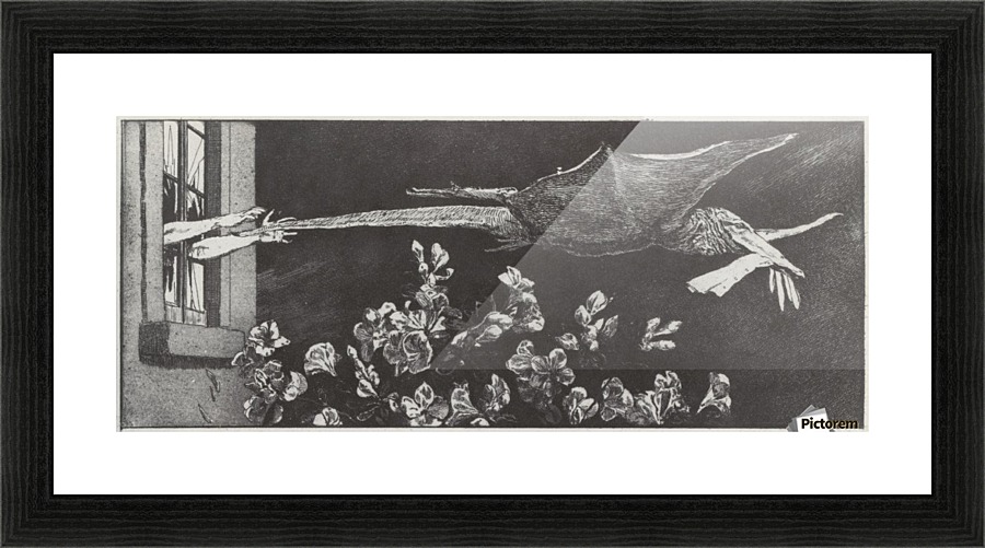 The Abduction Picture Frame print