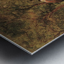 Die Rasenbleiche Metal print
