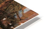 Die Rasenbleiche HD Metal print