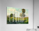 Fields Acrylic Print