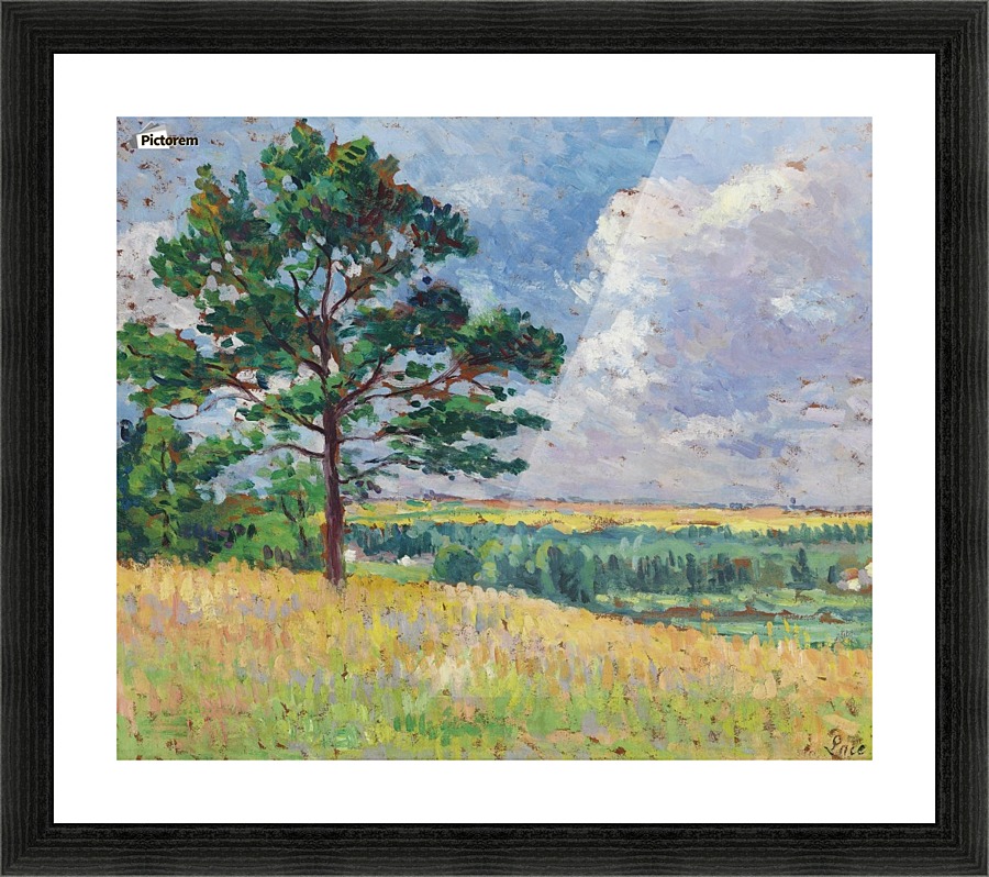 Landscape 01 Picture Frame print