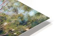 Bathing HD Metal print
