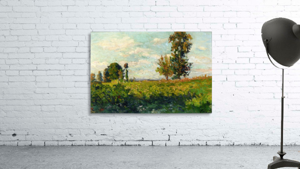 Fields Wall Preview