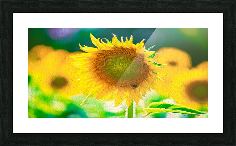 SunFlower Picture Frame print