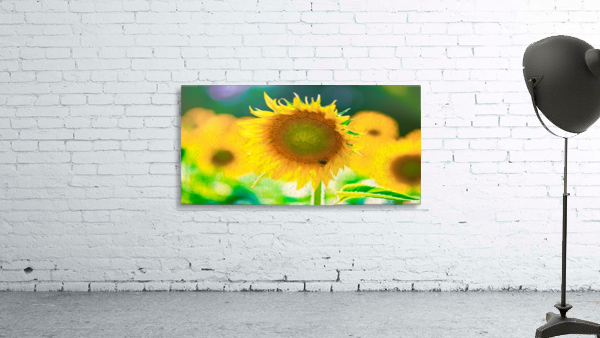 SunFlower Wall Preview