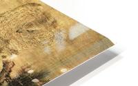 Chinesehawk HD Metal print