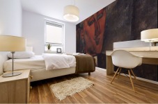 Modigliani - Max Jacob Mural print