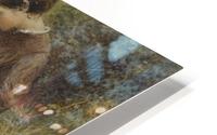 Primroses HD Metal print