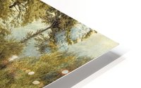 The young eel angler HD Metal print