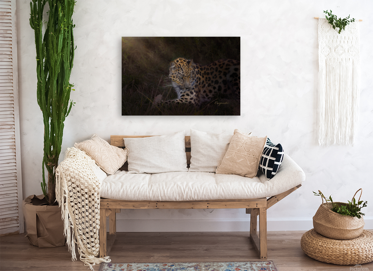 Leopard In Sun Beams - Portrait Reproduction