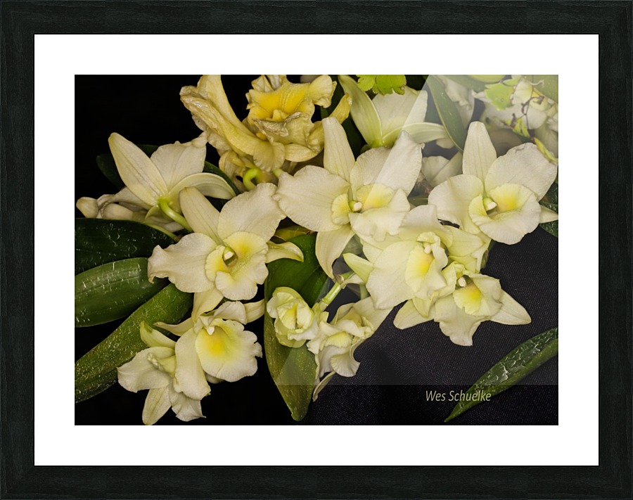 IMG_0138_e_WS Picture Frame print