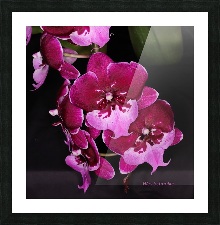 IMG_0145_e_WS Picture Frame print