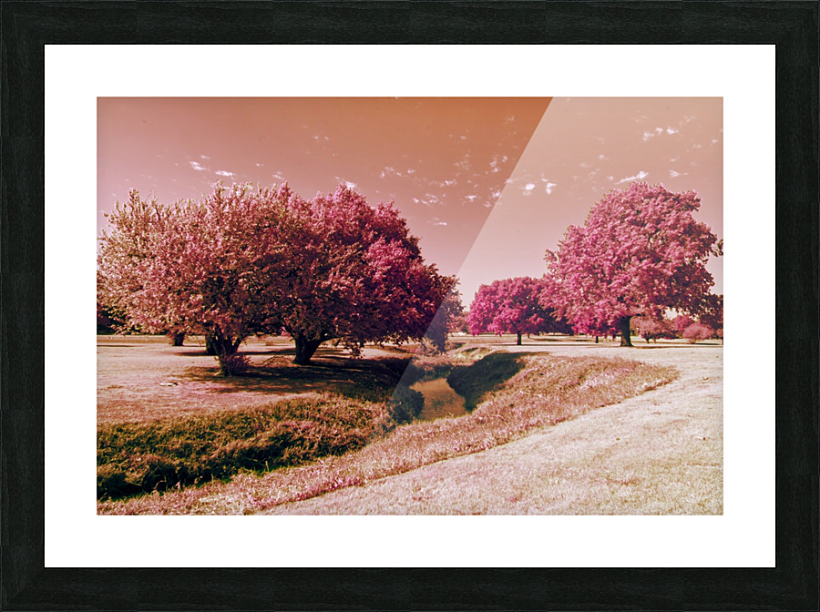 IMG_3235_2IR Picture Frame print