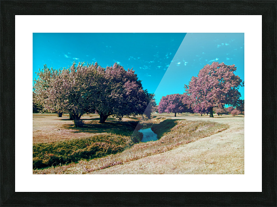 IMG_3235_3IR Picture Frame print